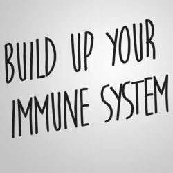 improve immunity